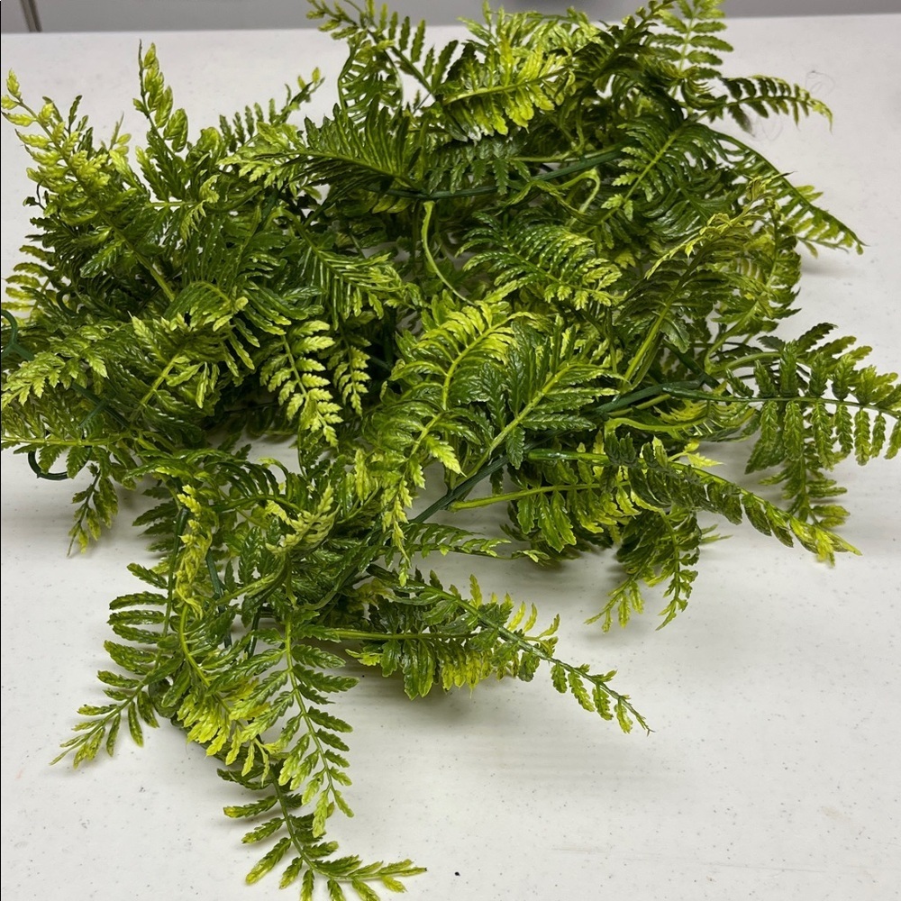 Vibrant Green Faux Fern 🪴